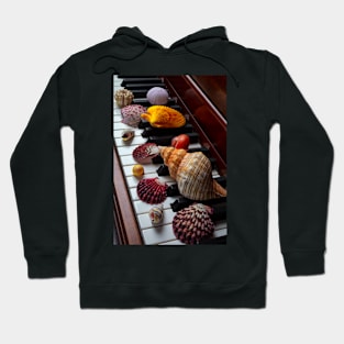 Seashells On Piano Keys Hoodie